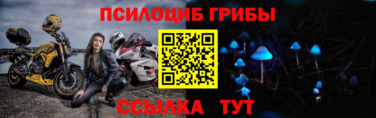 Галлюциногенные грибы мицелий Бахчисарай